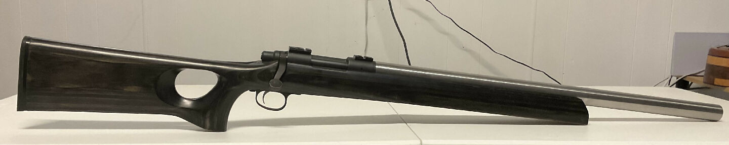 22-250 Remington 700. Trued action. Timney trigger. TSE barrel. Shots bug holes with factory Hornady 50grn. Only 100 rounds old.