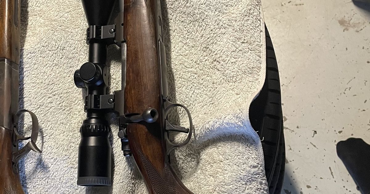 Brno 308  17hmr