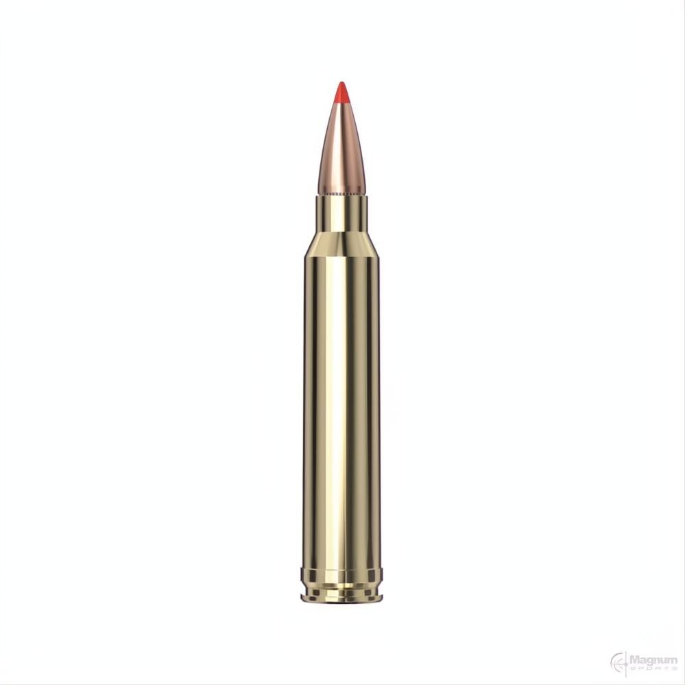Hornady 300 WIN MAG 180GR SST SPF