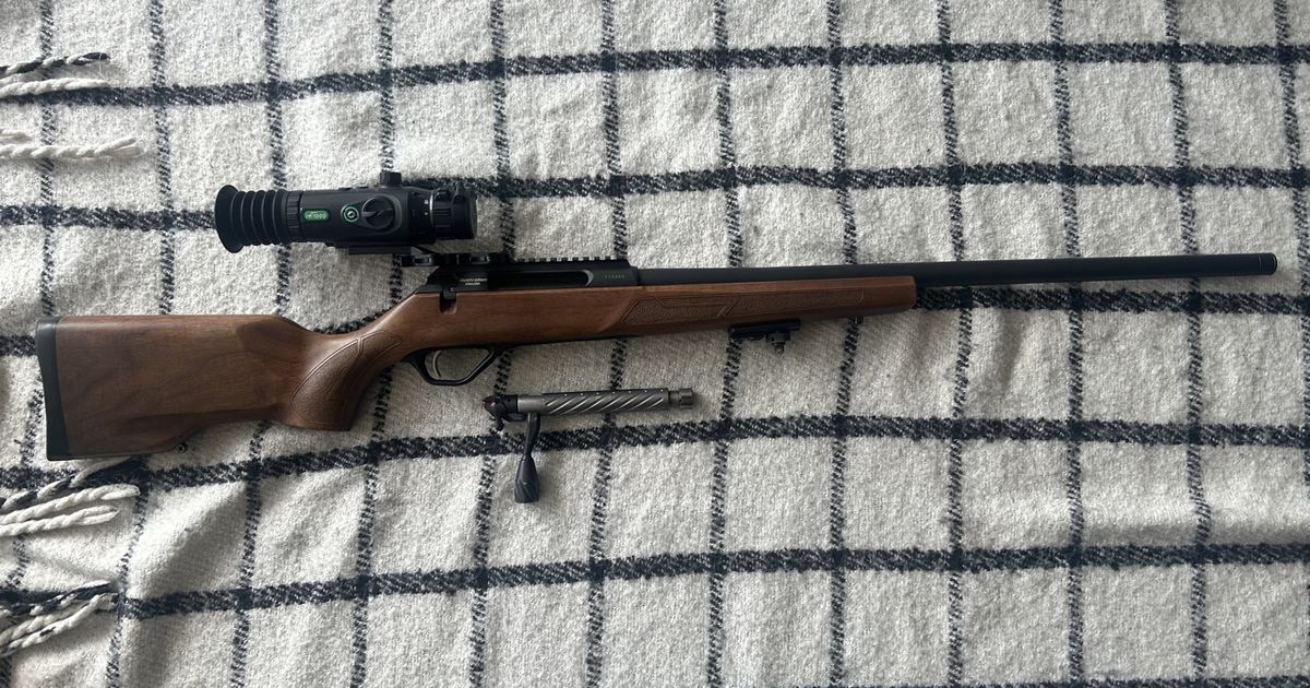 Lithgow LA102 .223 Varmint Barrel (Walnut Stock