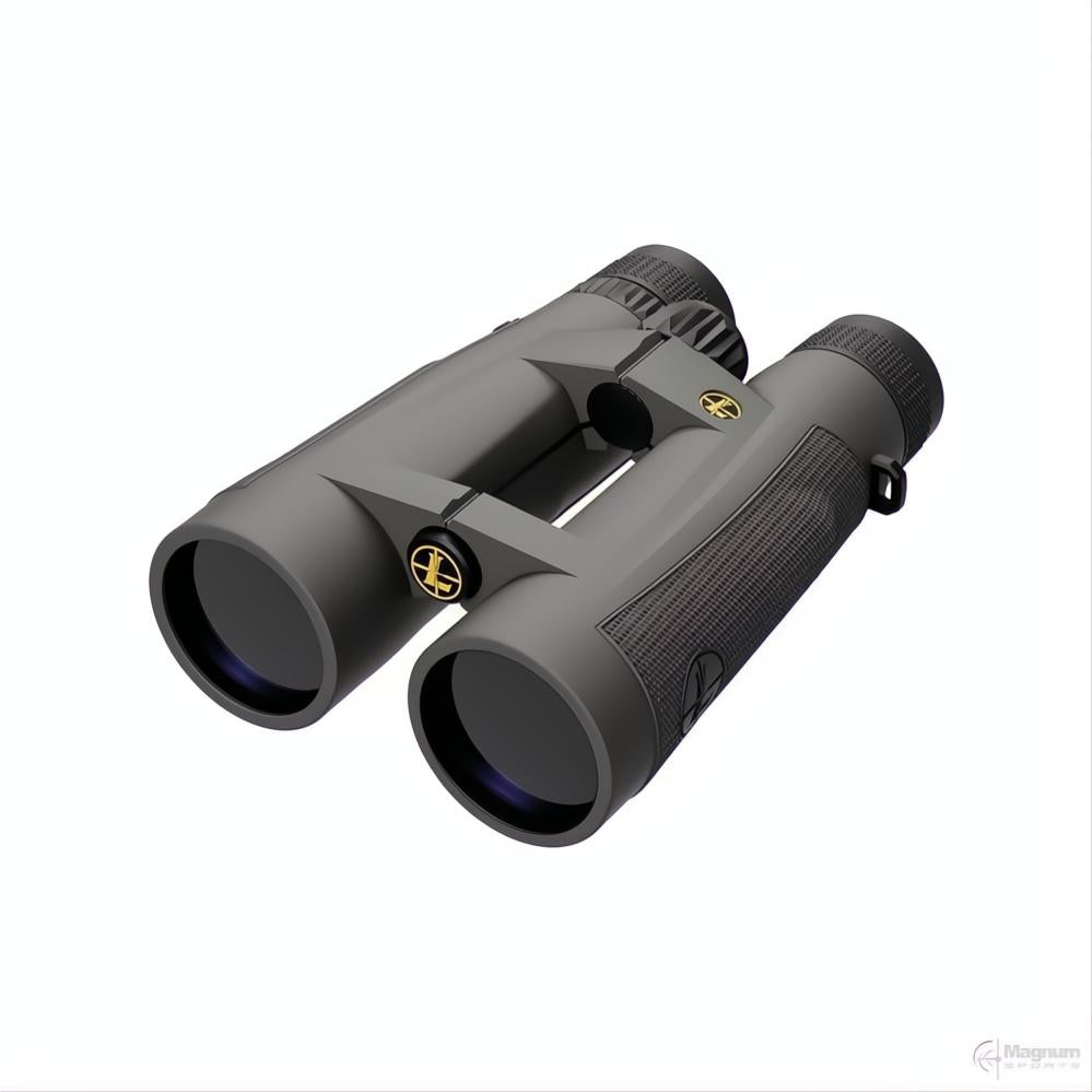 Leupold BX-5 Santiam HD 15x56