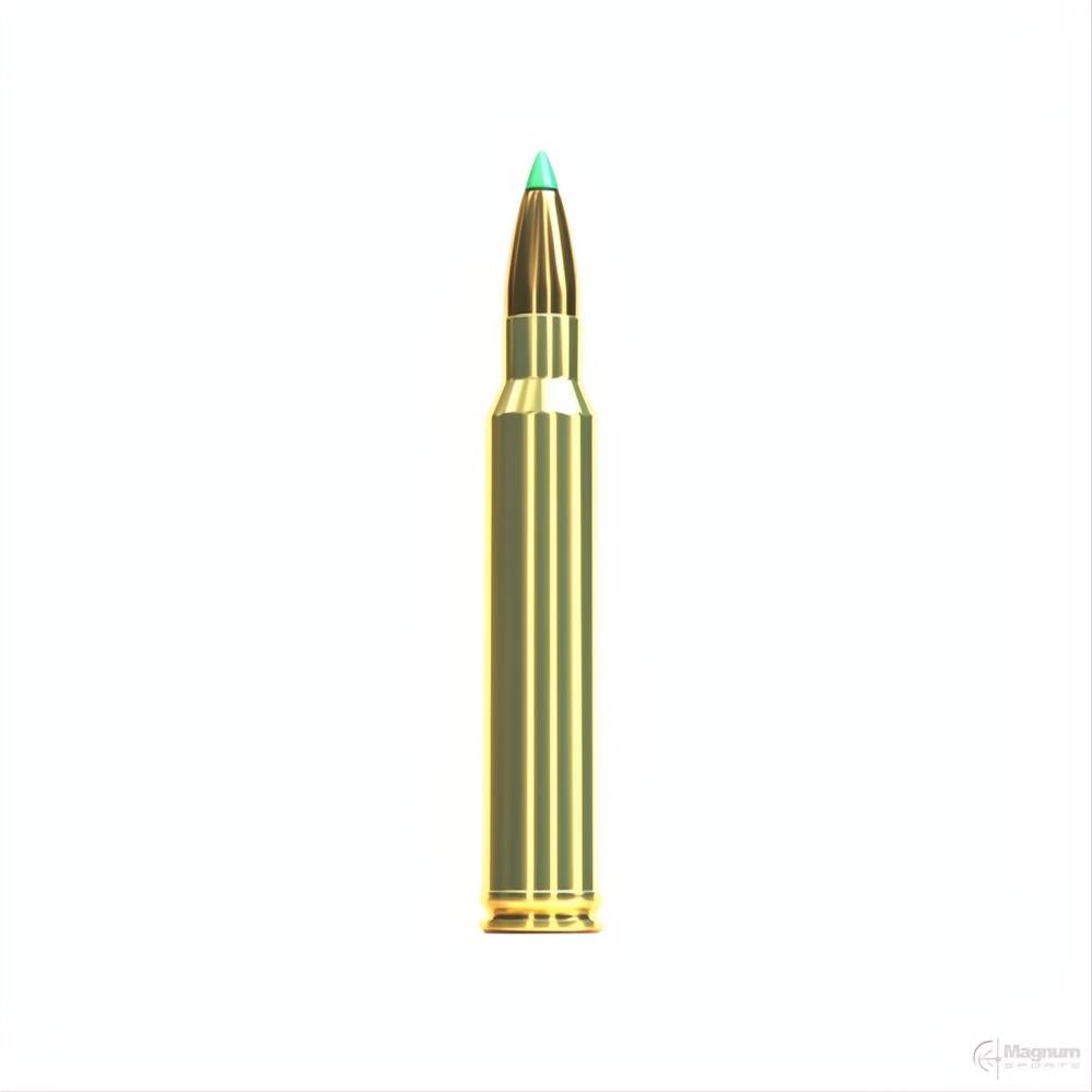 Sellier And Bellot 300 Win Mag 180gr SST