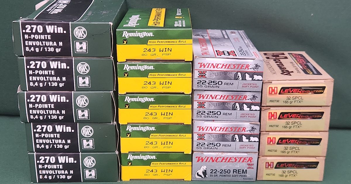 Factory Ammo 270 / 243 / 22-250 / 32SPCL / 223WSSM / 25-06