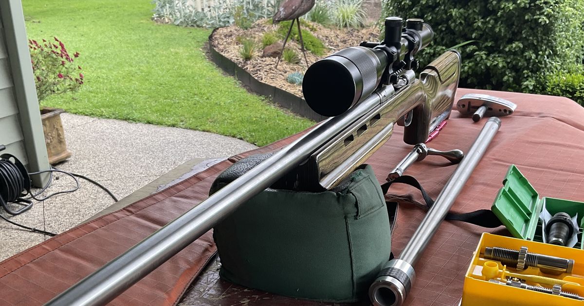F class Savage 308