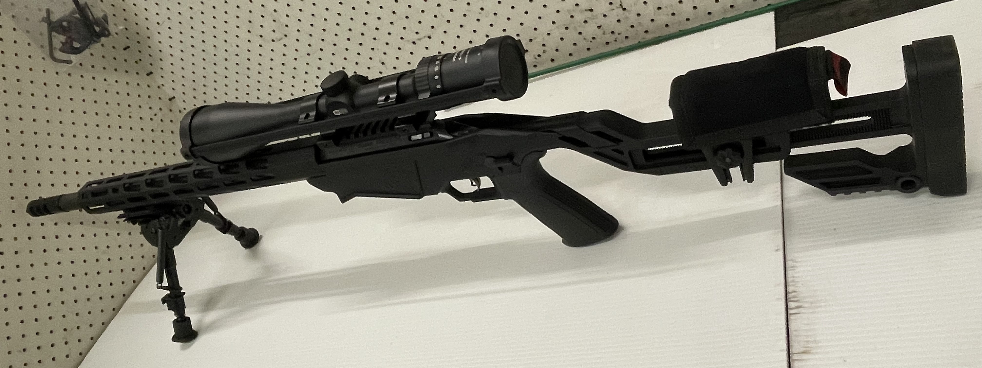 RUGER PRECISION 22WMR