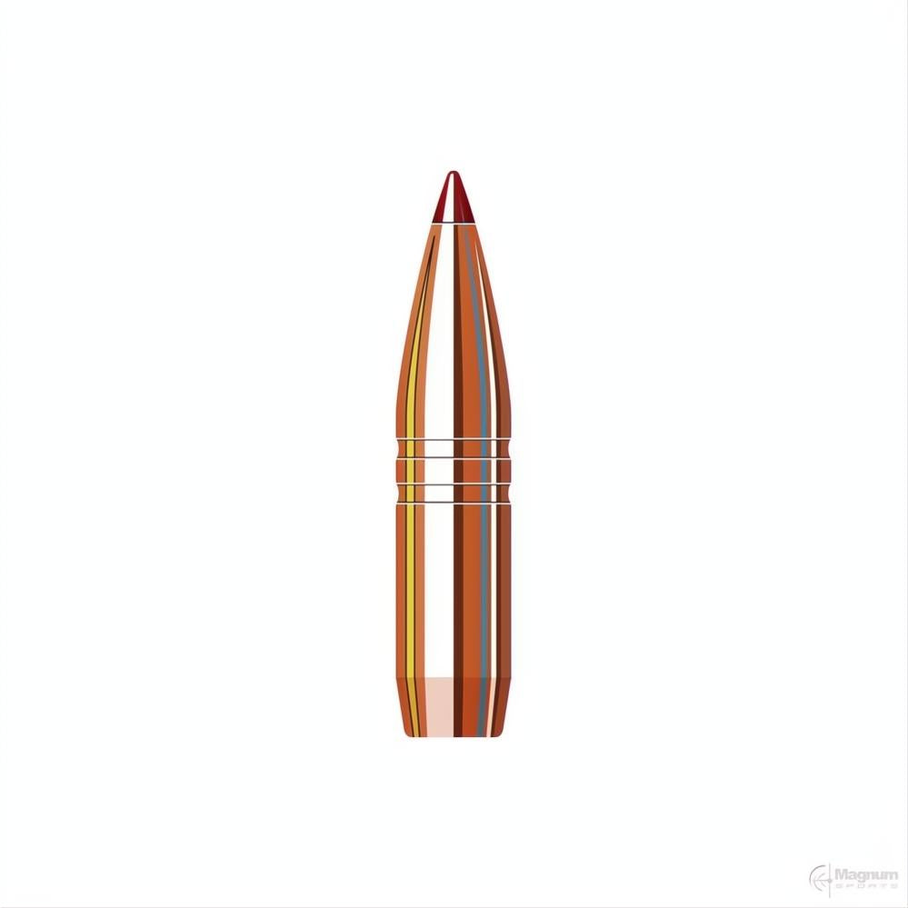 Hornady 30 Cal (.308 Diameter) CX 180gr Projectiles