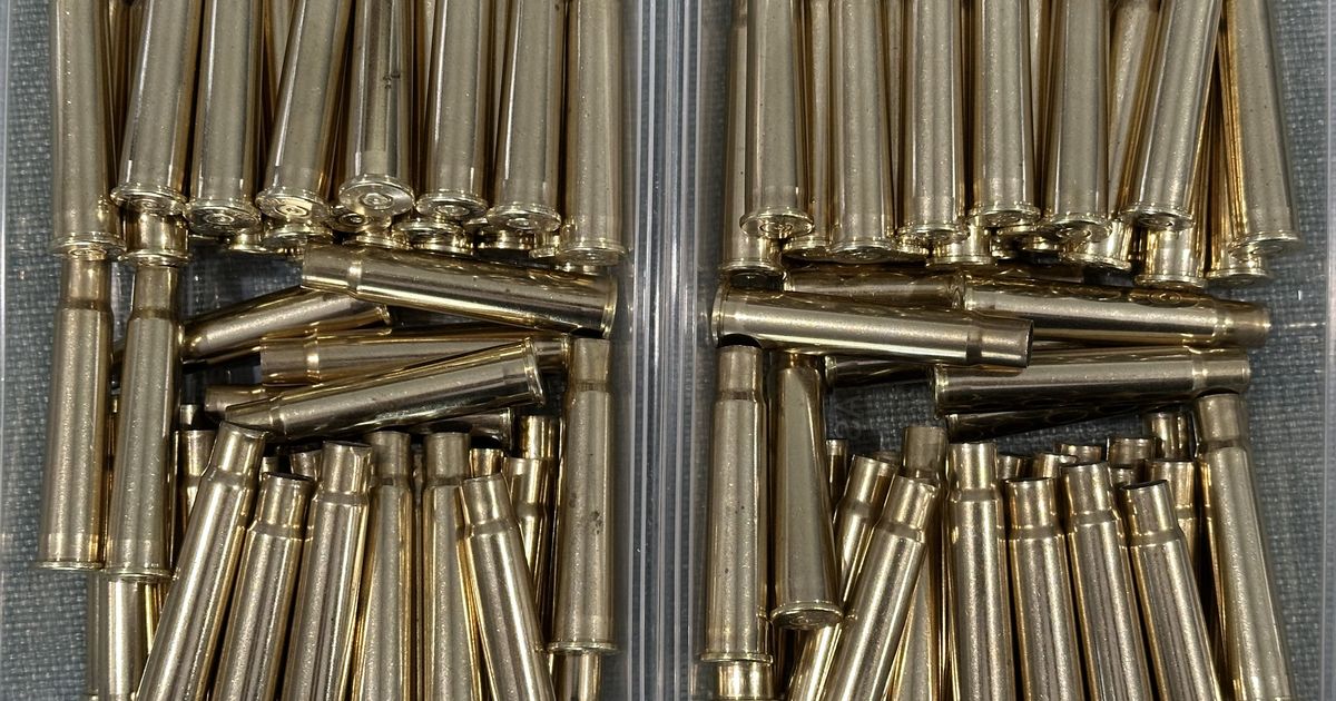 303 British Cartridge Cases