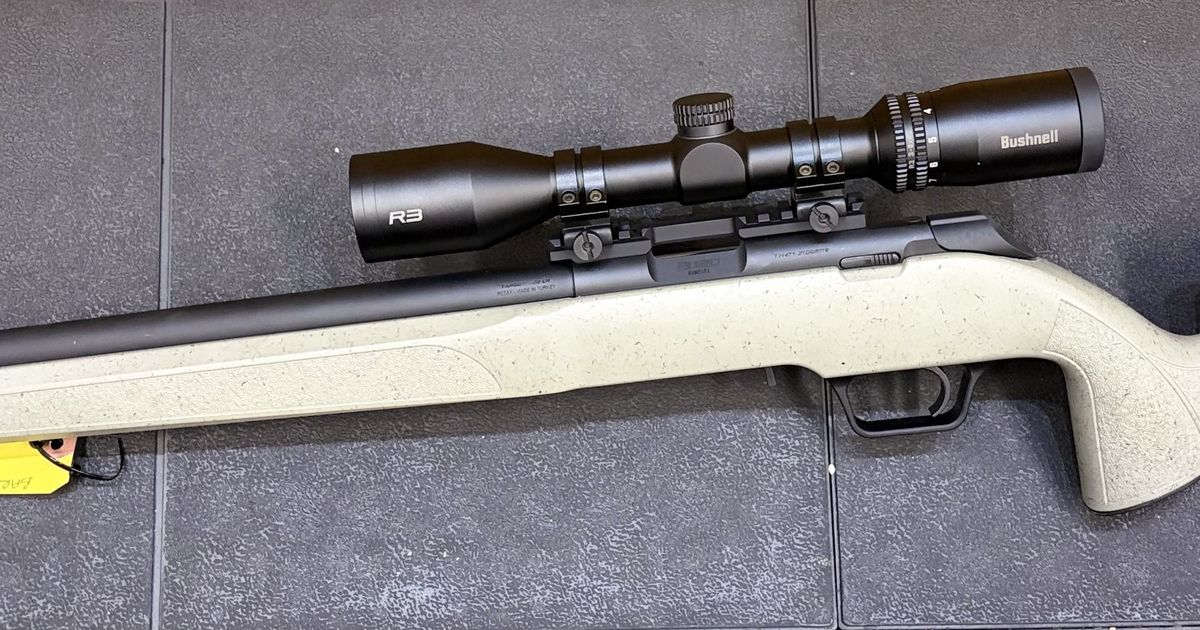 SPRINGFIELD 22lr 2020 RIMFIRE Target SAGE WEB 20in 10 shot