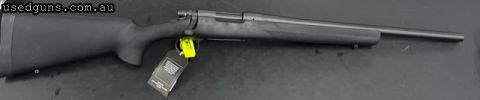 Gun present well strong action