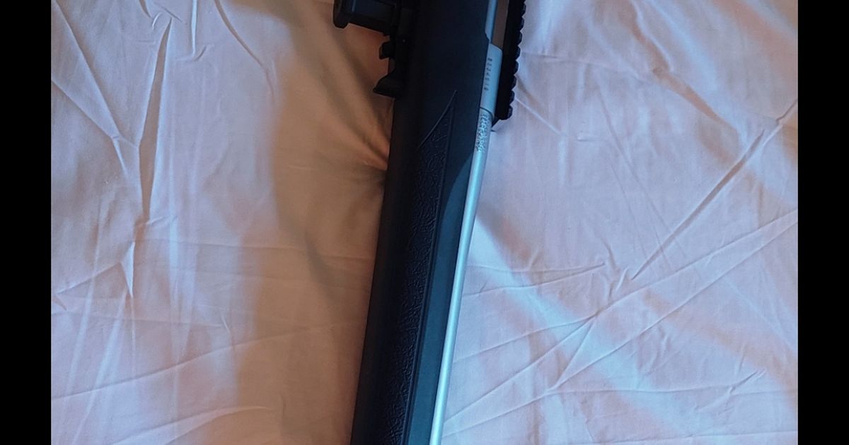 Howa mini Stainless varmint 223