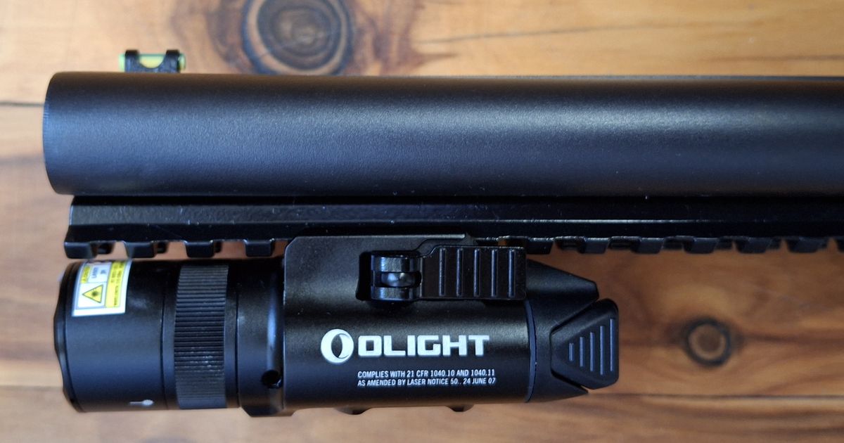 Boito SXS coach gun + Olight torch