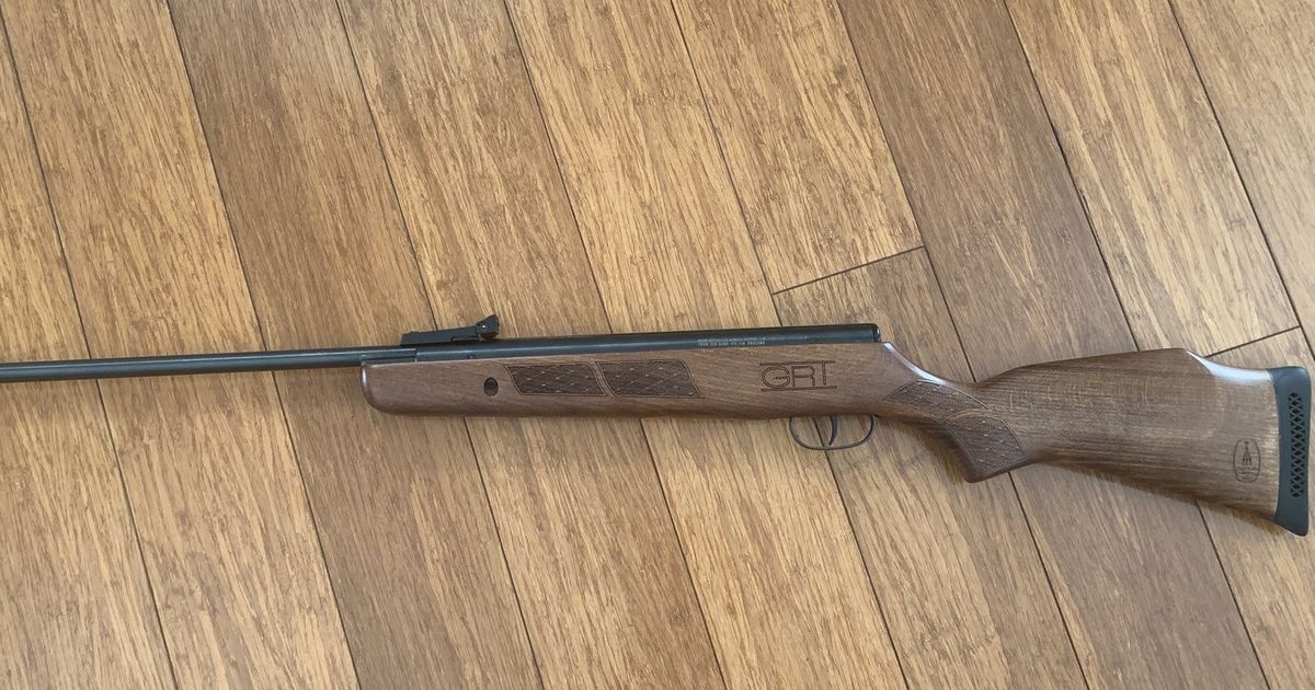 BSA .22 Air Rifle