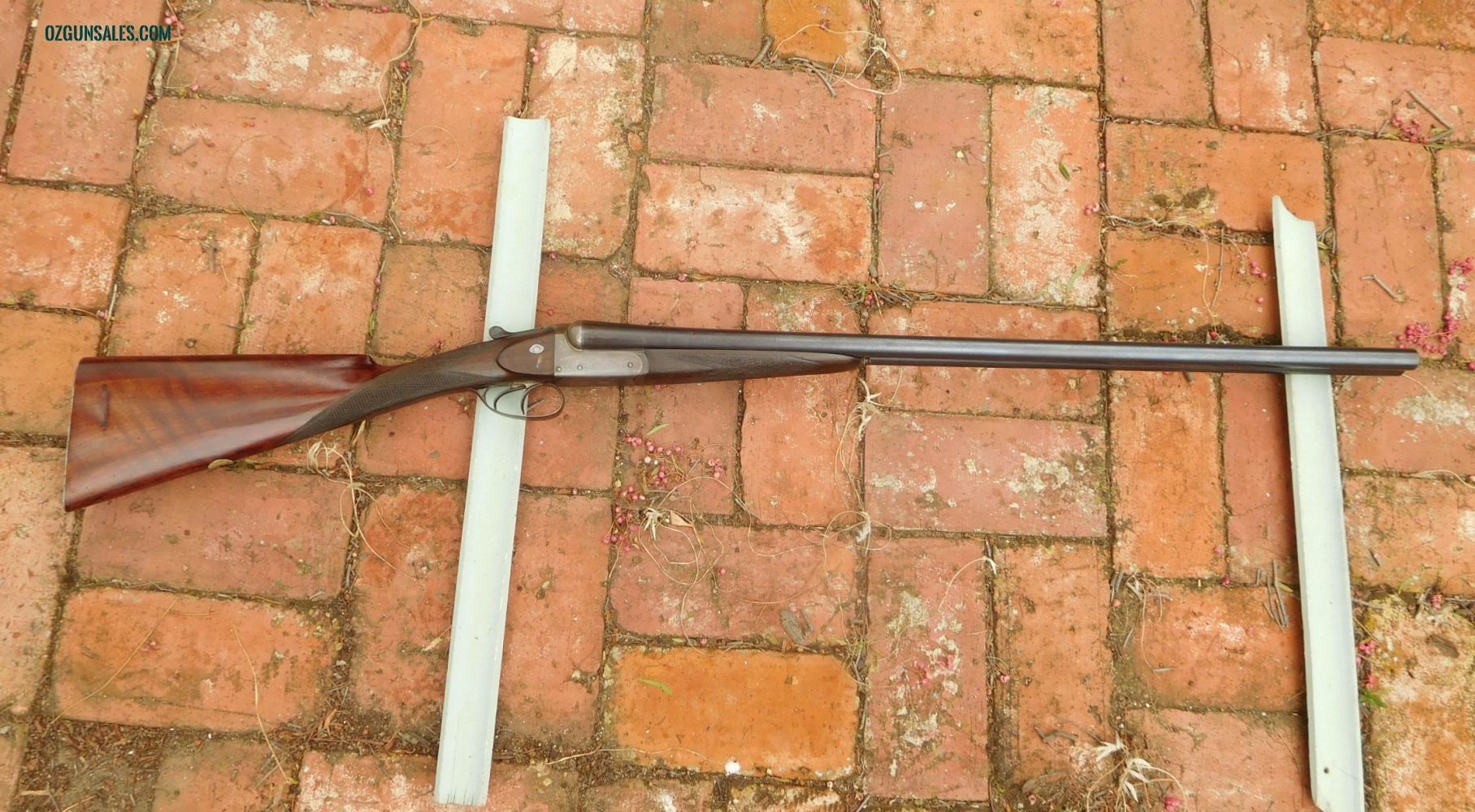 W. R. PAPE  SxS 12G Hammerless Field Shotgun