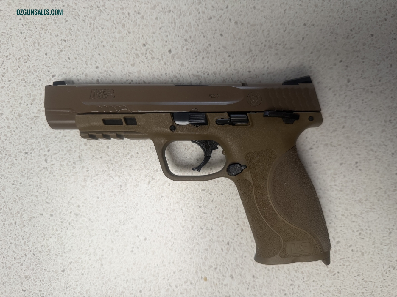 S&W M&P 2.0 FDE