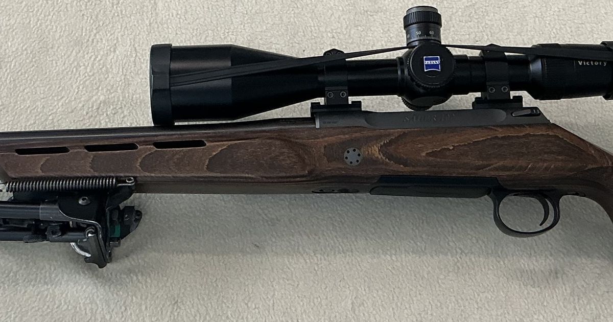 Sauer 100