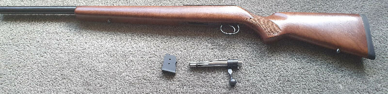 CZ 455 Varmint