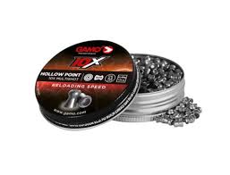 GAMO .22 10X HOLLOW POINT 250PK