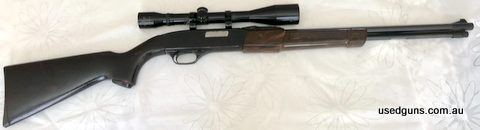 20SR/15LR plastic pump slide; tubular magazine; picket/post crosshair scope.