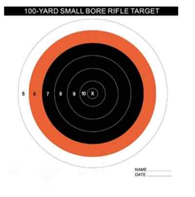 Small Bore Target Orange/Black 20 Pack