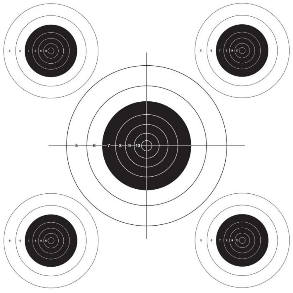 Auto Advance Rimfire Target Roll Bullseye