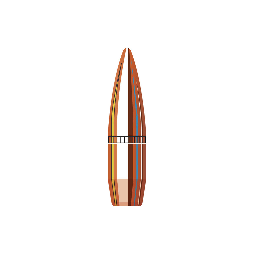 303 Cal (.312 Diameter) RN 174gr Projectiles