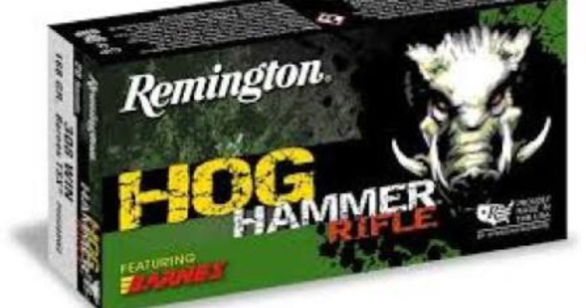 308 win ammo - TSX Barnes