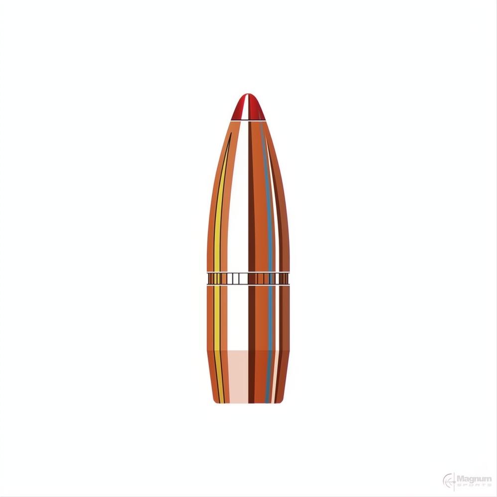 Hornady 30 Cal (.308 Diameter) FTX 160gr Projectiles