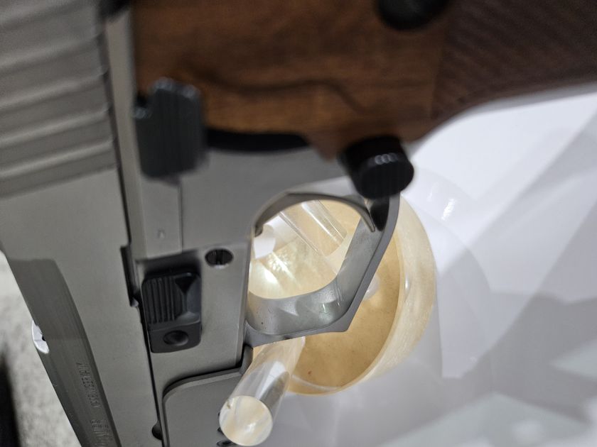 Sig Sauer custom