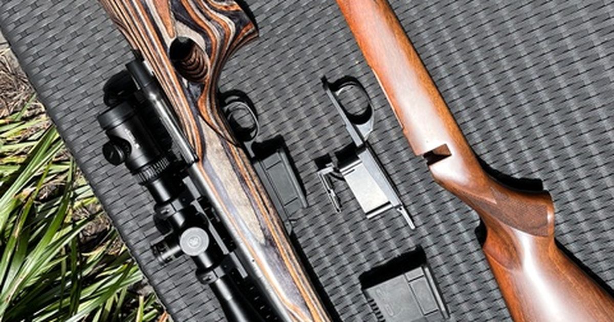 Weatherby Vanguard .223