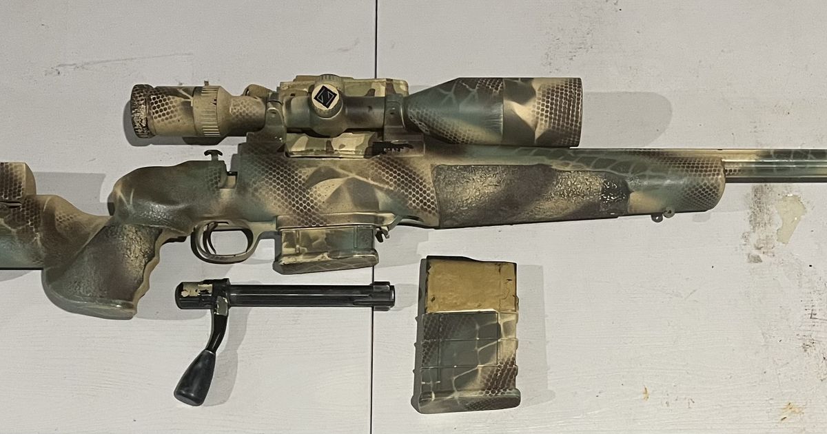 HOWA 1500, CUSTOM 308