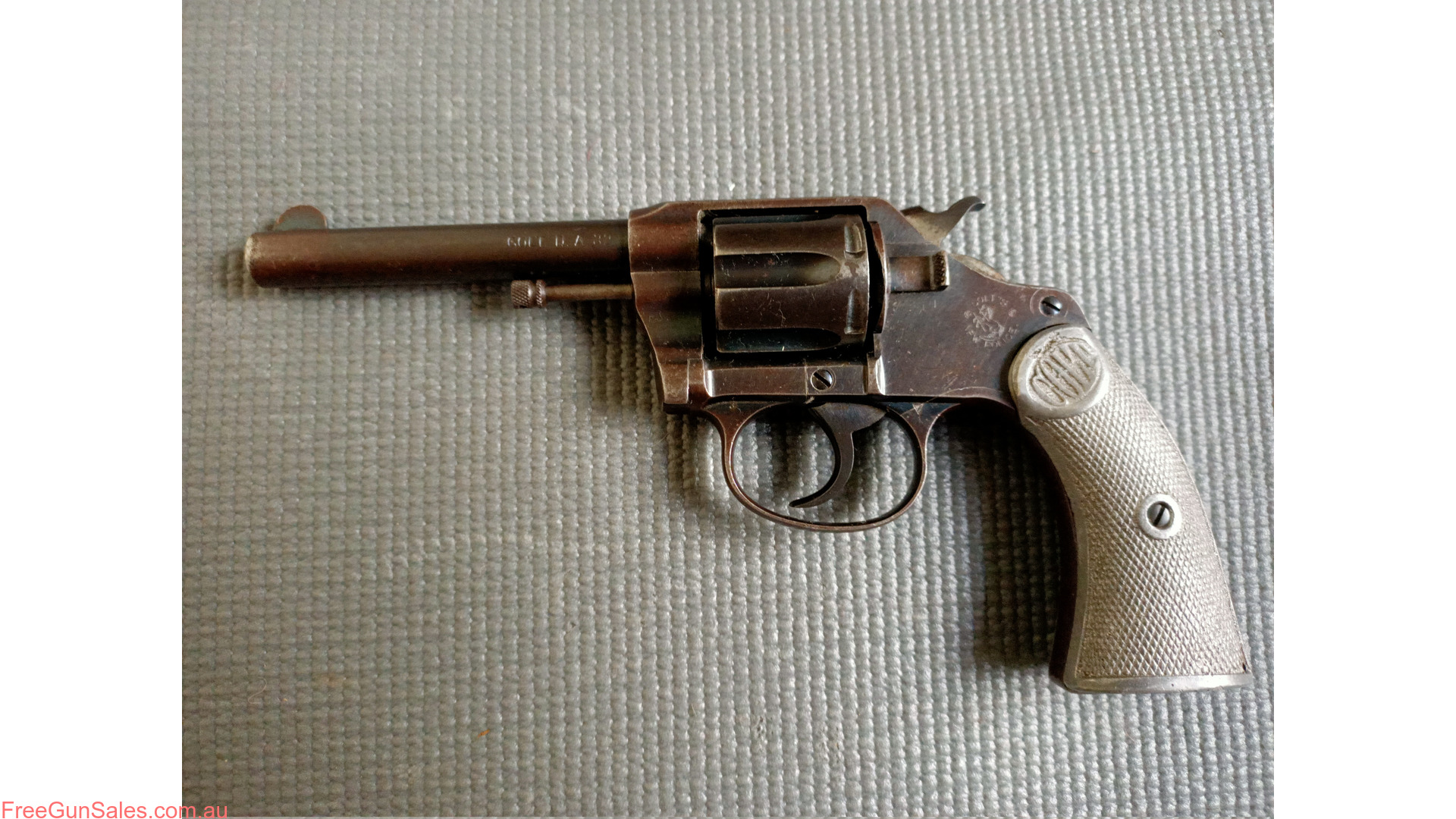 32 Colt transitional Positve Brisbane
