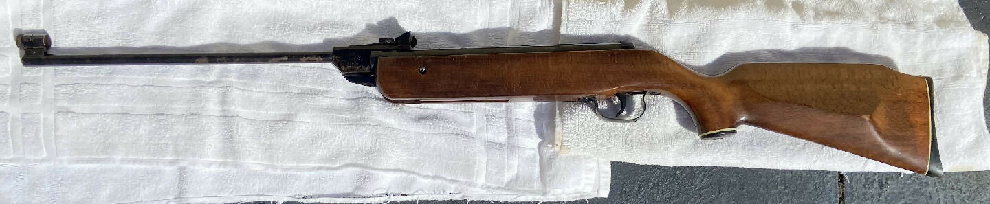 .22 Cal Air Rifle