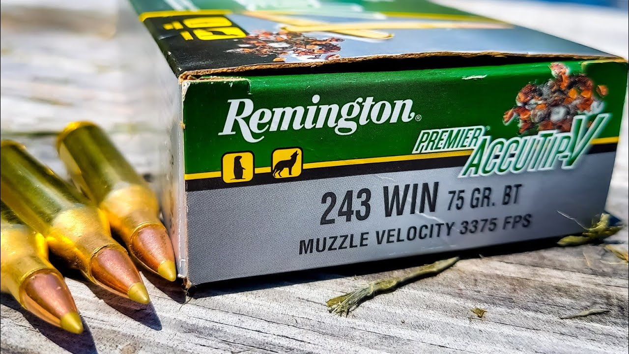 REMINGTON ACCU-TIP .243 75GN AMMO 20PK