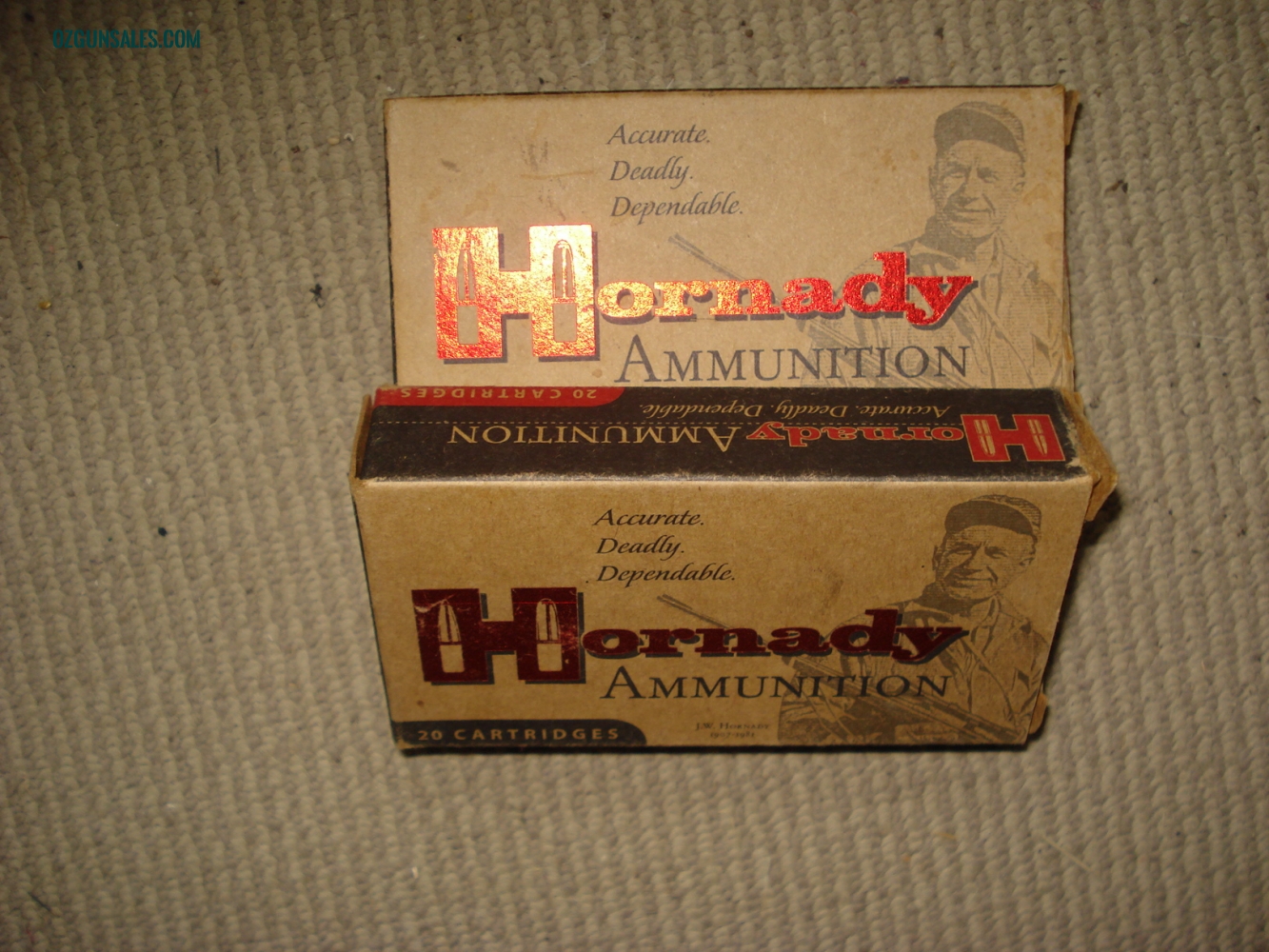 Hornady .204 Ruger brass