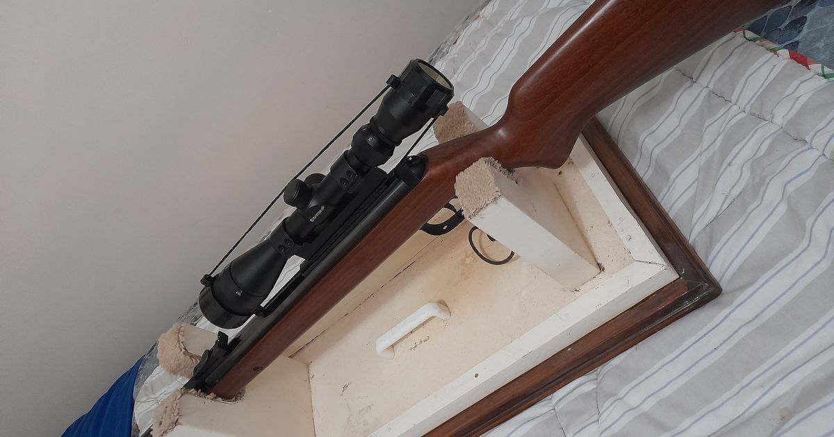 AIR  RIFLE  22