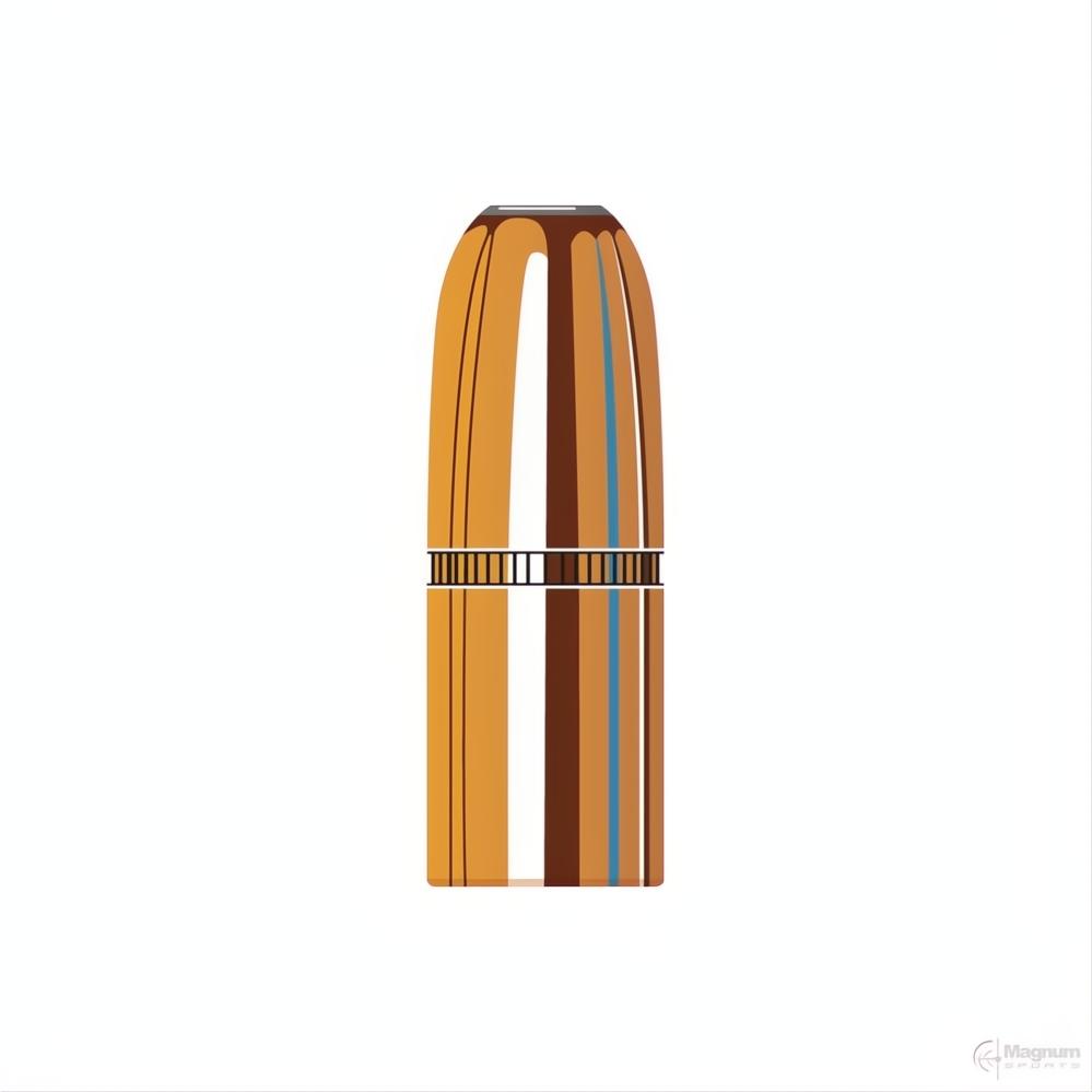 Hornady 45 Cal (.458 Diameter) DGX Bonded 480gr Projectiles