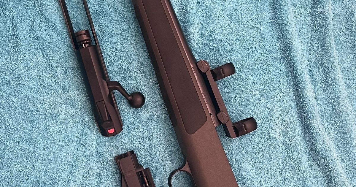 Blaser R93 Professional 9.3x62 & Browning BPR – .30-06
