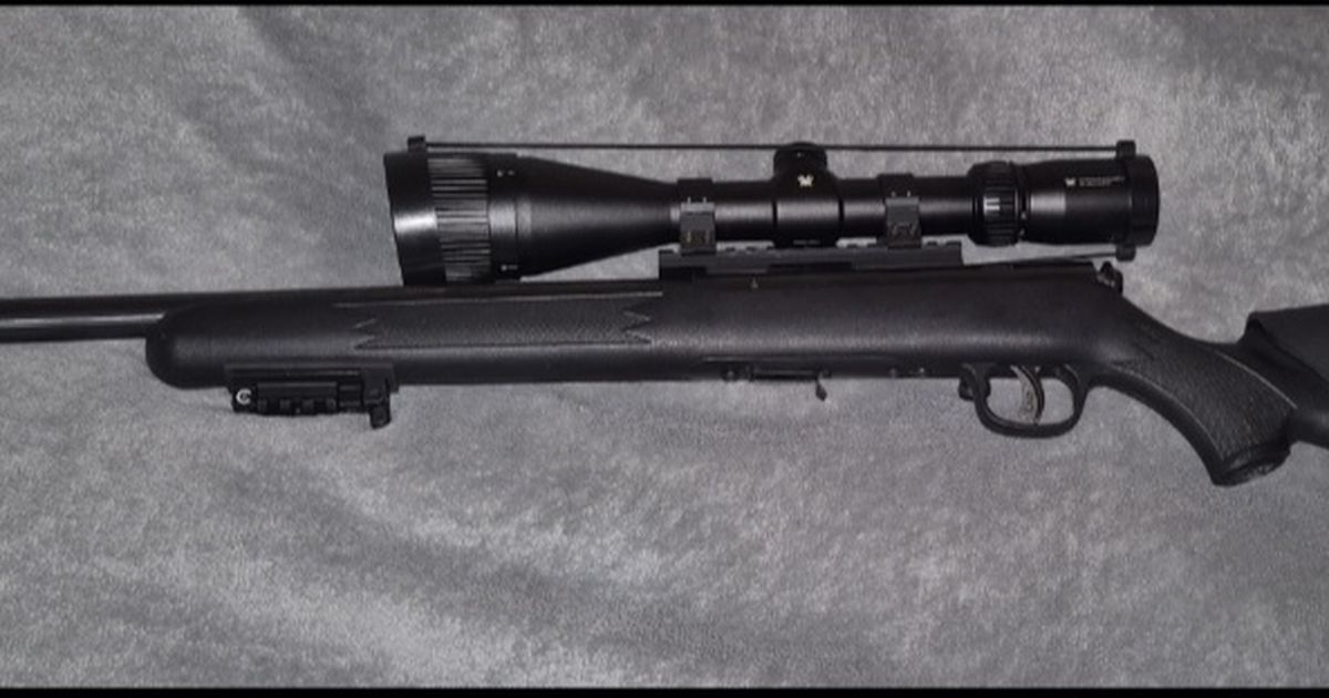 Savage 22lr