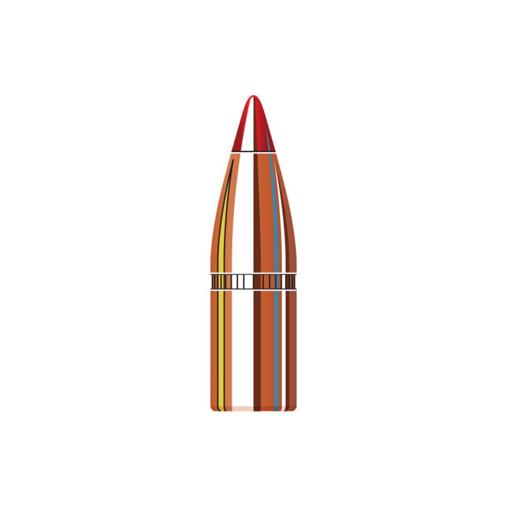 22 Cal (.224 Diameter) V-Max W/C 55gr Projectiles