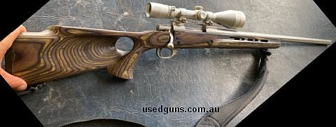 Excellent gun, shoots straight
