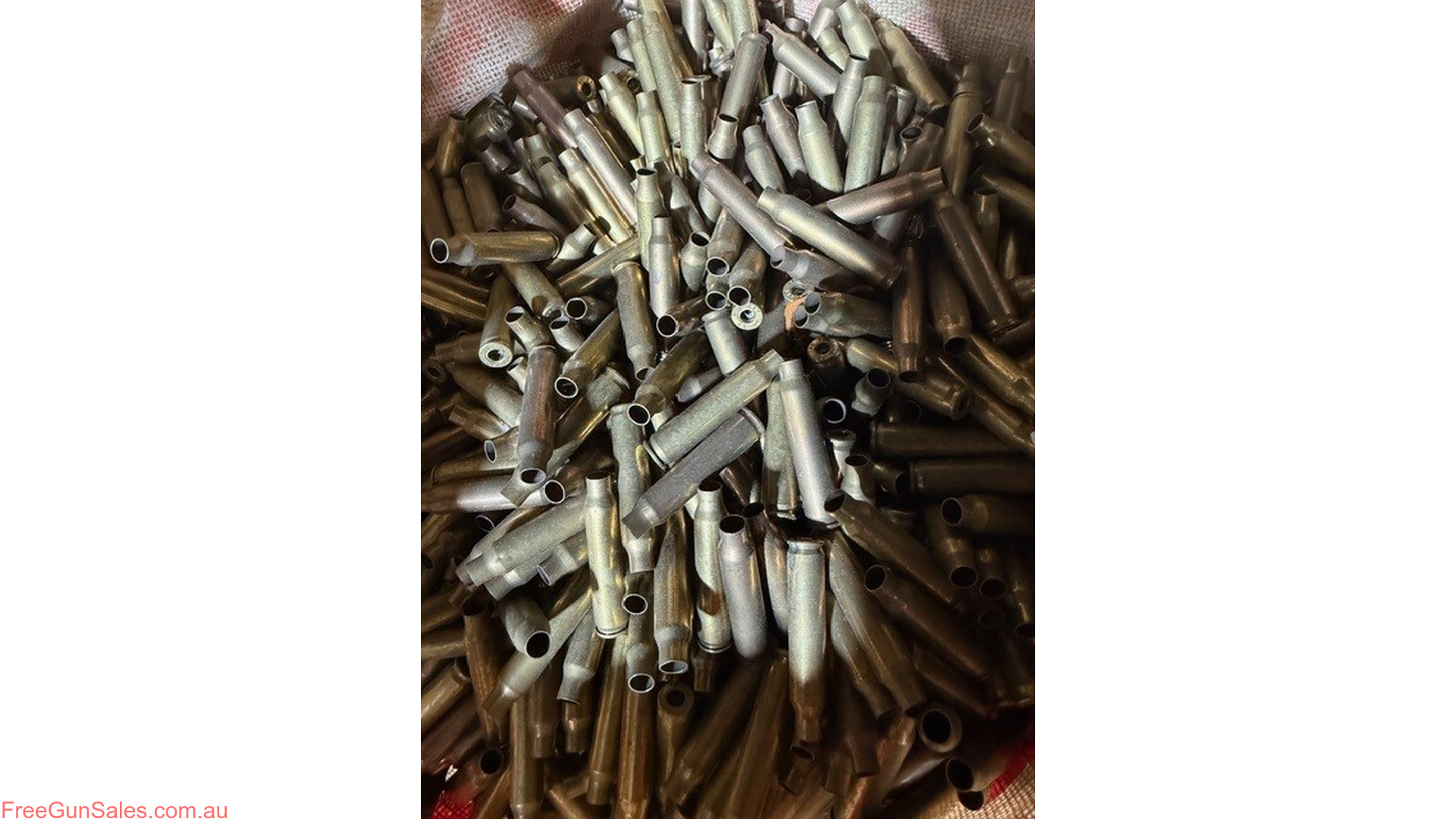 223 Rem Once Fired cases - 50 Pk Tingalpa