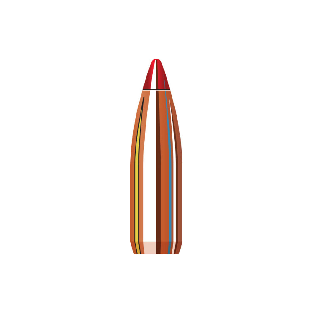 22 Cal (.224 Diameter) V-Max 53gr Projectiles