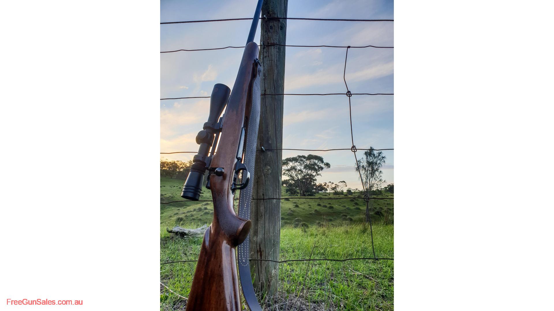 Howa 1500 sporter .243 Gawler