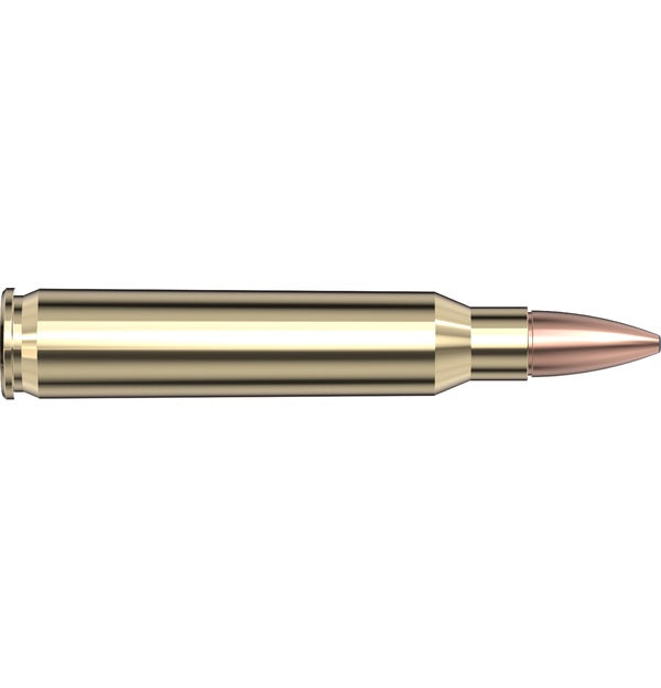 FRONTIER 223 REM 55GR FMJ (50PK)