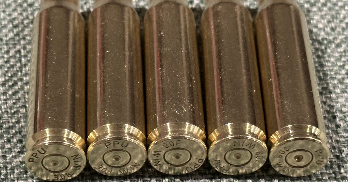 308 Winchester Brass Cartridge Cases