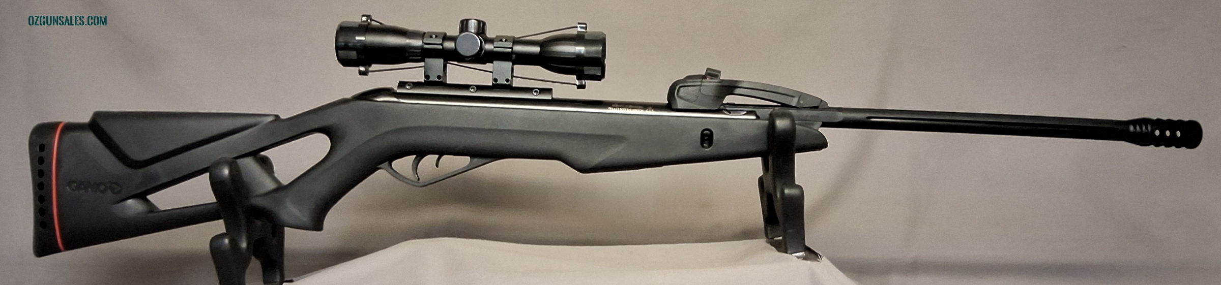 Gamo Swarm Fox .22