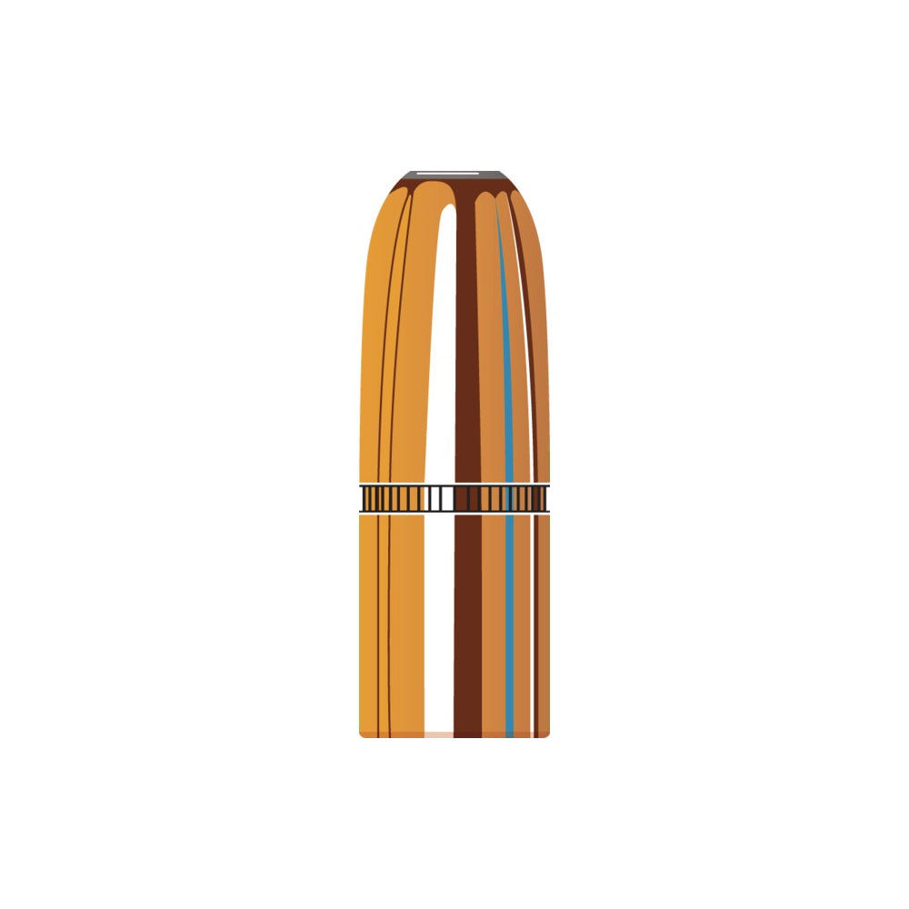 45 Cal (.458 Diameter) Dgx Bonded 500gr Projectiles