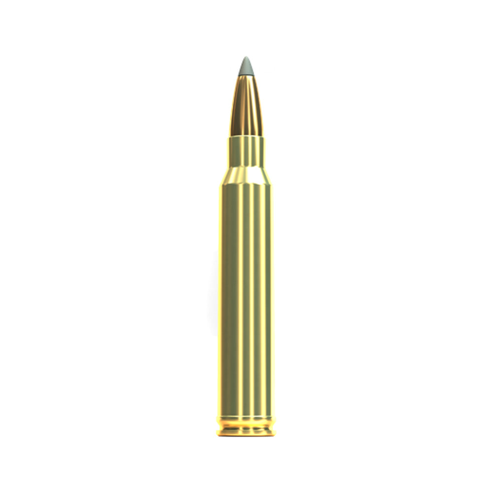 300 Win Mag 200gr SBT Sierra