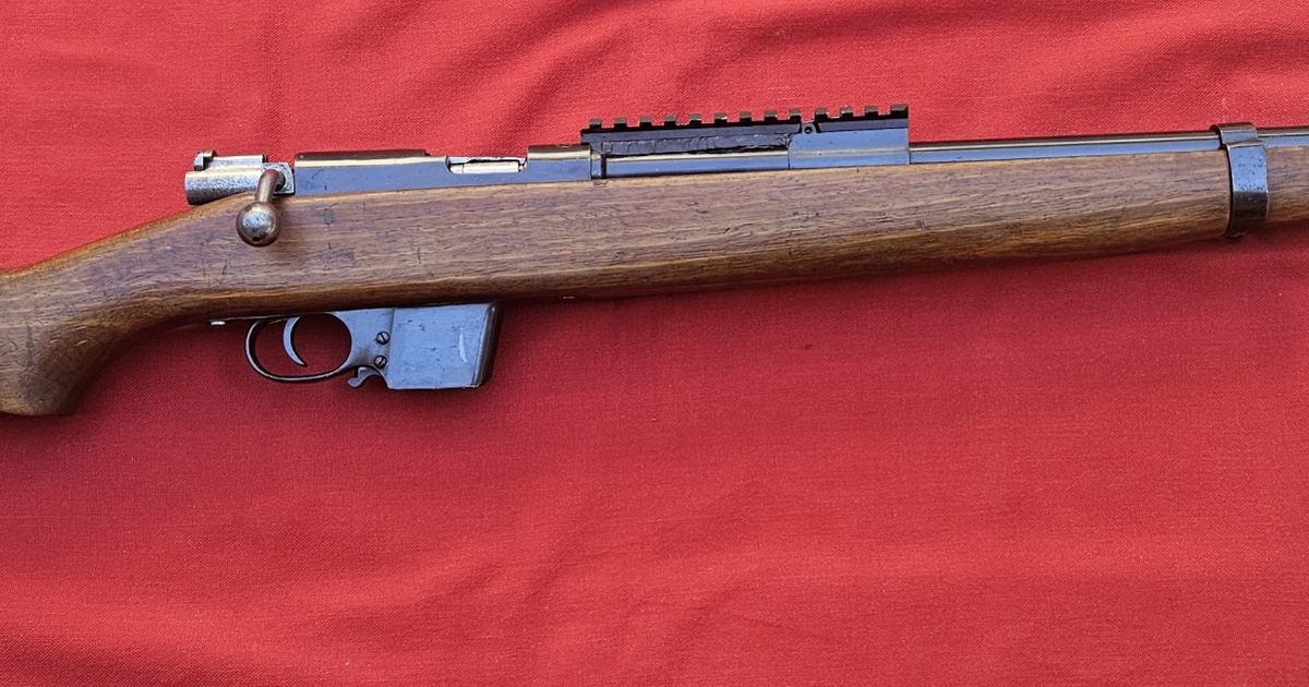 Destroyer Carbine