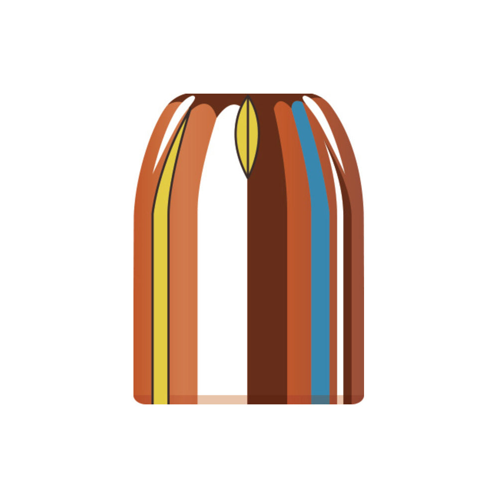 50 AE (.500 Diameter) Xtp 300gr Projectiles